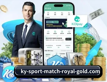 开云赛事 APP 深度功能